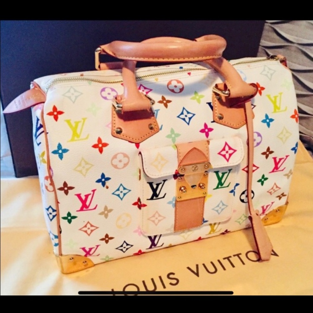 Louis Vuitton Speedy Multicolor Handbag